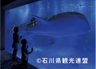 のとじま水族館